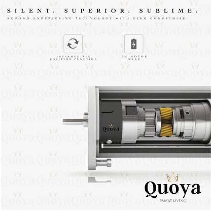 Quoya QL500 Smart Curtains System, Electric Adjustable Curtain Track/Rod, Motor Compatible with Alexa (125 inches)